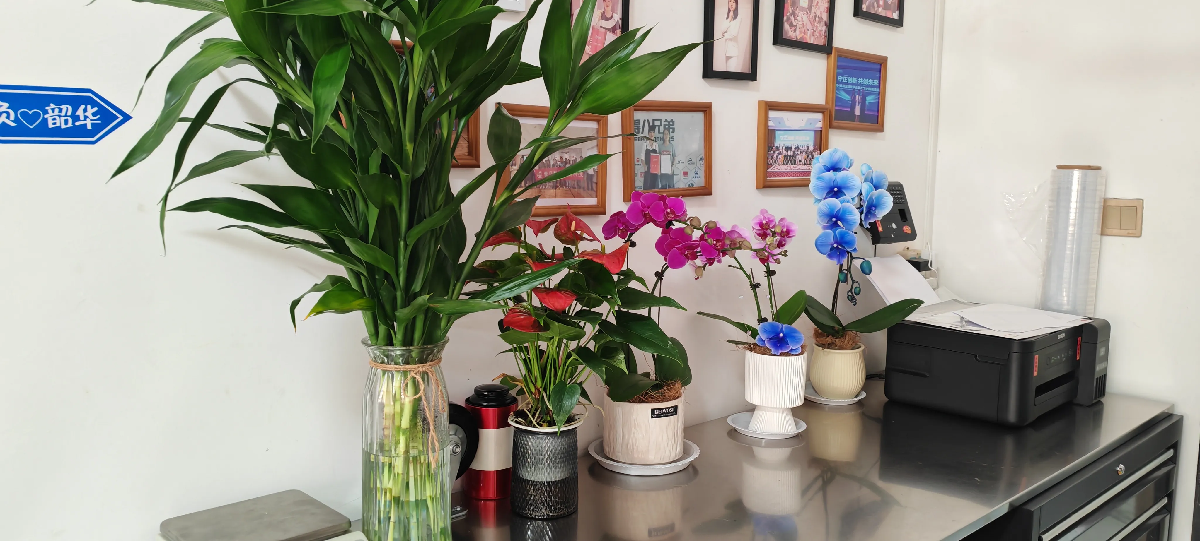 Добродошли, нови пријатељи ЈОЈО Пацка!