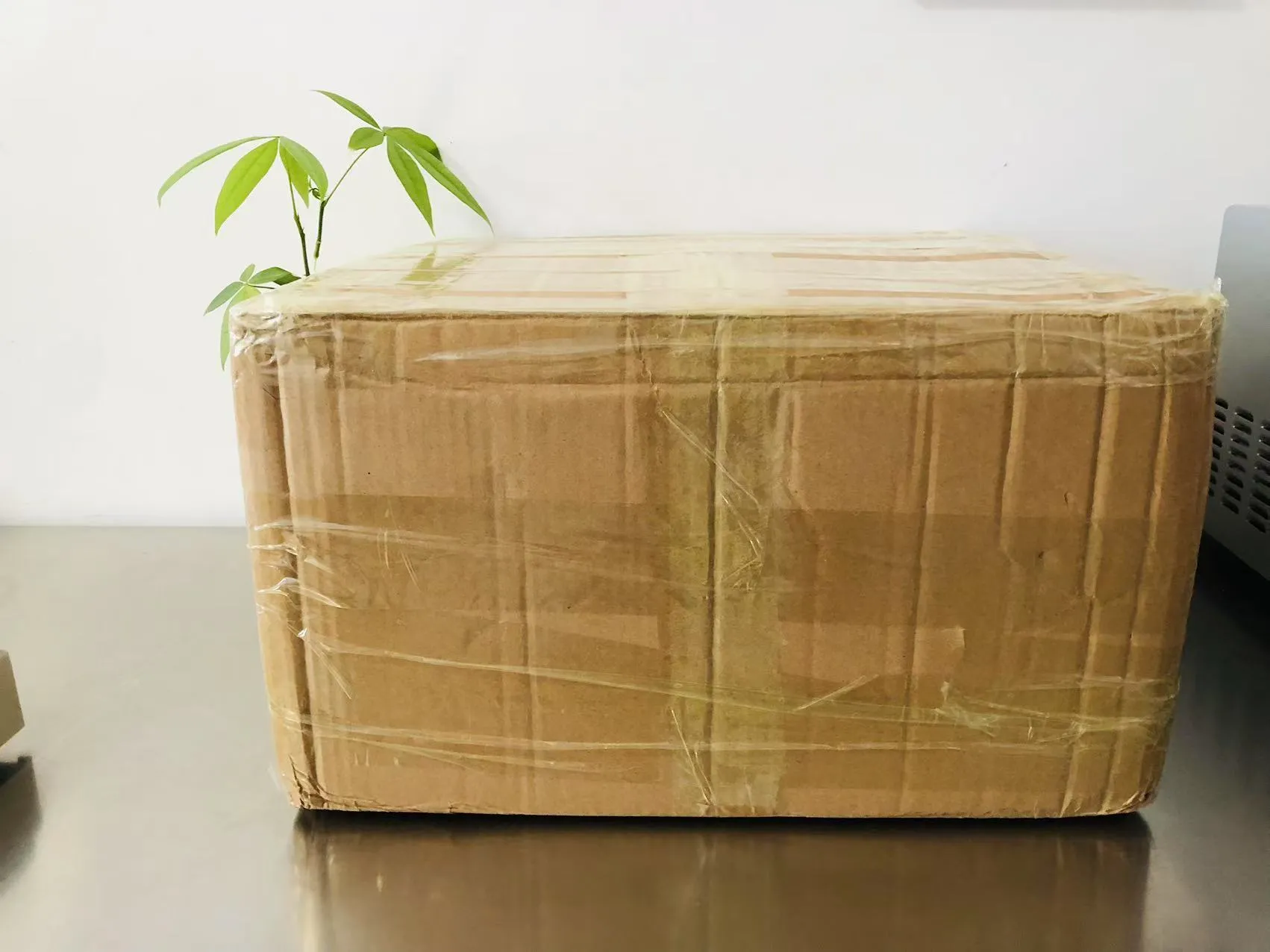 Цртане чврсте епоксидне налепнице сада су на путу за Јапан